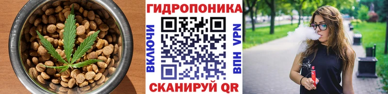 где можно купить   Нарьян-Мар  Печенье с ТГК марихуана 