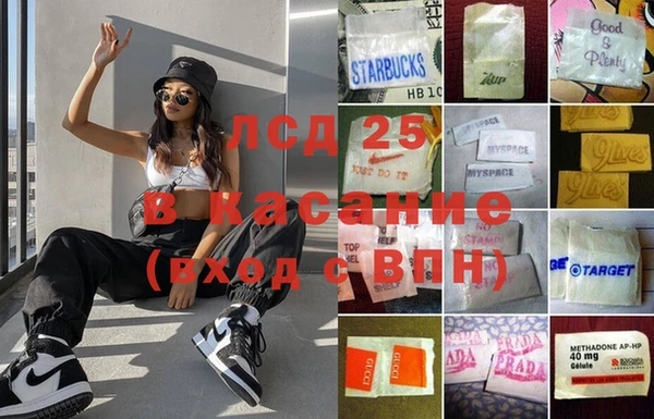 индика Алексин