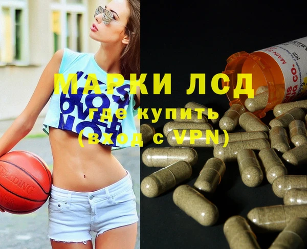 индика Алексин