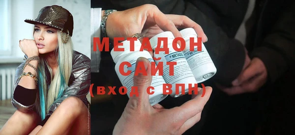 индика Алексин