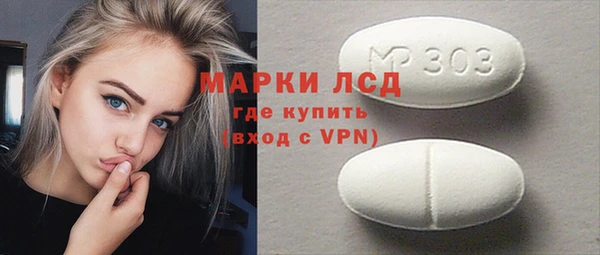 индика Алексин