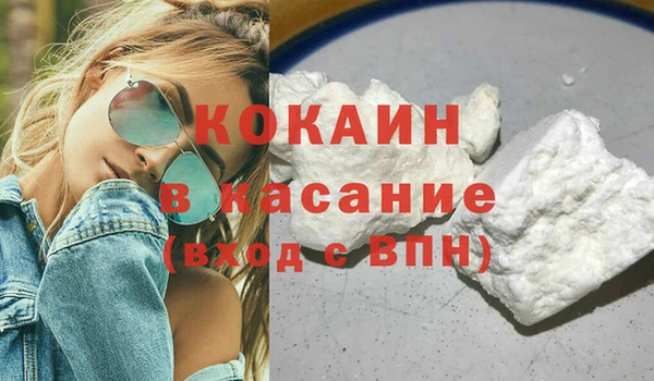 индика Алексин
