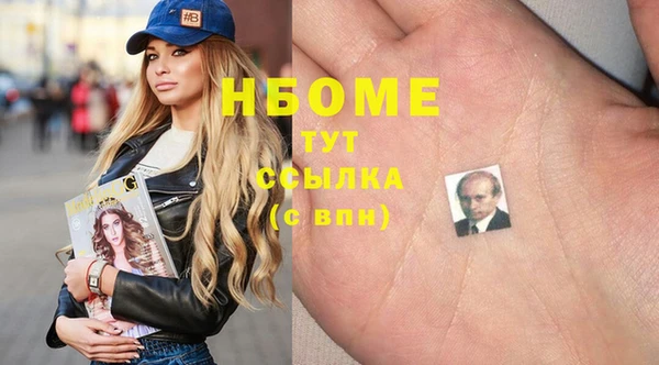 индика Алексин