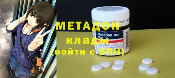 индика Алексин
